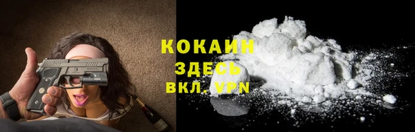 ПСИЛОЦИБИНОВЫЕ ГРИБЫ Ельня