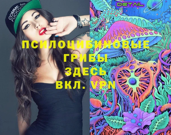 таблы Дмитриев