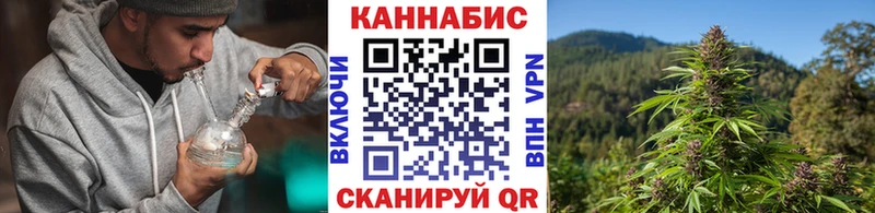Купить  Карабаново  Шишки марихуана планчик 